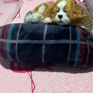 Vera Bradley Tartan Plaid 45 x 45 Fleece Blanket w pouch Pets,Baby or travel